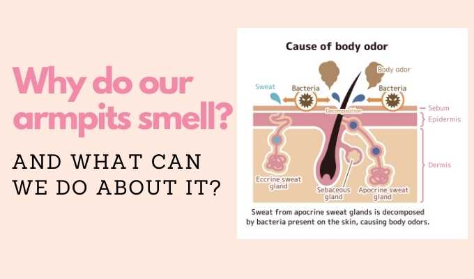 Why do our armpits smell?