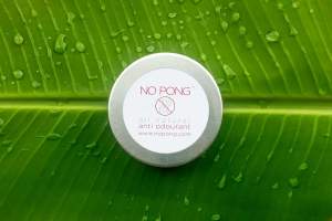 No Pong, All Natural Deodorant