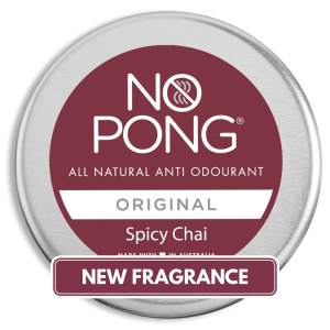 no pong original spicy chai