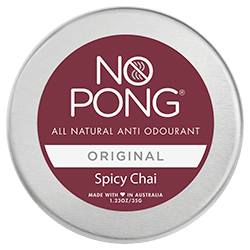 no pong original spicy chai